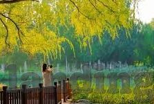 百家乐心法-百家乐心法，掌握生活与工作的和谐之道